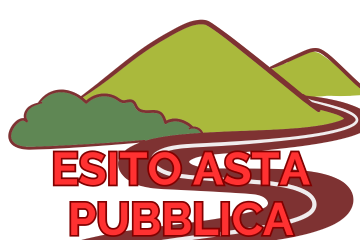 Esito asta pubblica