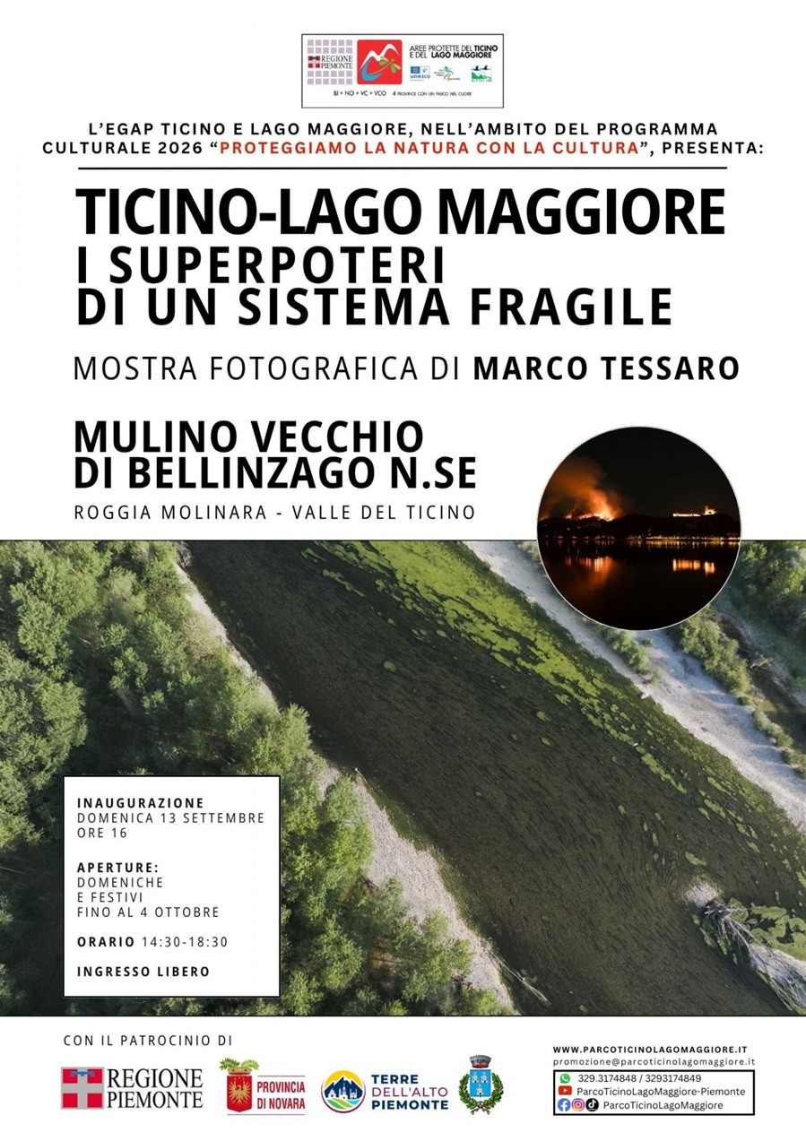 locandina Tessaro